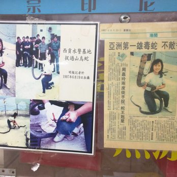 蛇王協 - This lady is a beast. She's just holding that snake like a bedroom lamp. - Cantonese Near Me - Hong Kong, HK