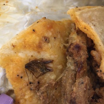 Poblano's Mexican Grill - Mexican Near Me - Houston, Texas