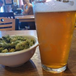 Horse Heaven Hills Brewery - My Apricot Honey beer placed along a bowl of hops(it's there for decoration). The Prosser area is known for it's Hops crops!