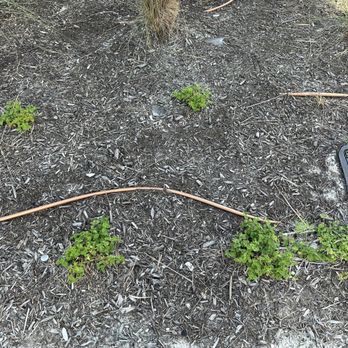 Coastal Scapes - a drain in the ground - Landscaping Near Me - Port Aransas, Texas