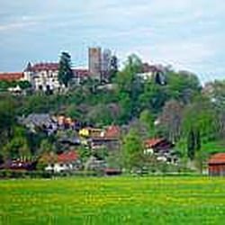 Burghotel Burgdacherl