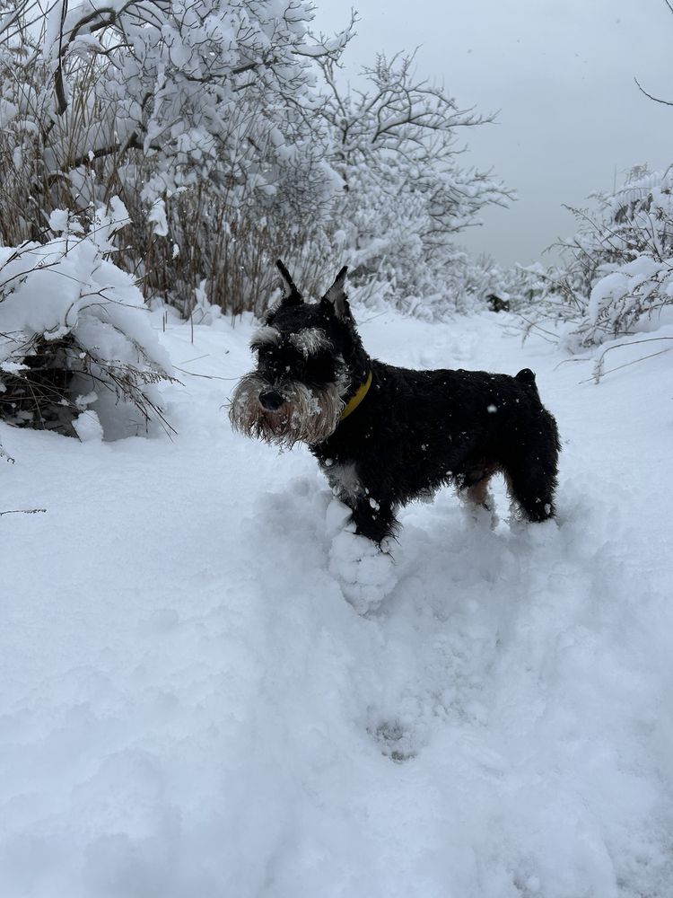 KINGS BAY VETERINARY GROUP Updated July 2024 27 Photos & 33 Reviews