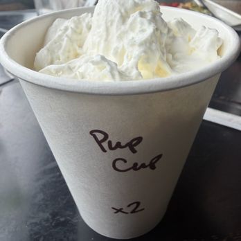 Venus - Pup cup - Coffee & Tea Near Me - Sacramento, California