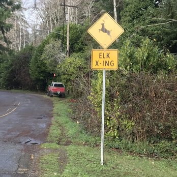 Mingus Park - Parks Near Me - Coos Bay, Oregon