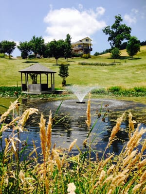 Beliveau Farm Winery by null