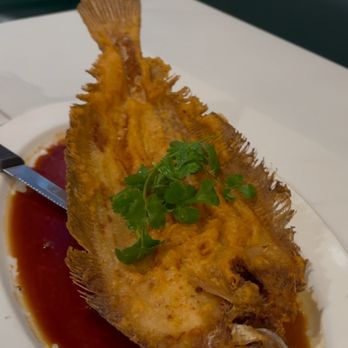 Hong Kong Cafe - Fried fish sooooo good - Hong Kong Style Cafe Near Me - Dublin, California Hong Kong Cafe - Fried fish sooooo good - Hong Kong Style Cafe Near Me - Dublin, California