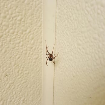 Petco - In the mens bathroom! - Pet Stores Near Me - San Diego, California