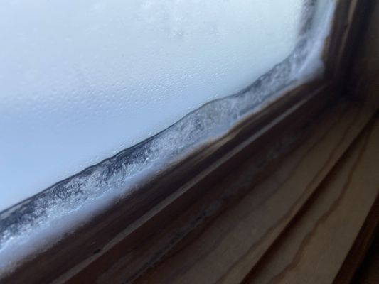 Andersen Windows by null