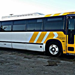 Lonestar Party Buses - 50 passenger party bus.