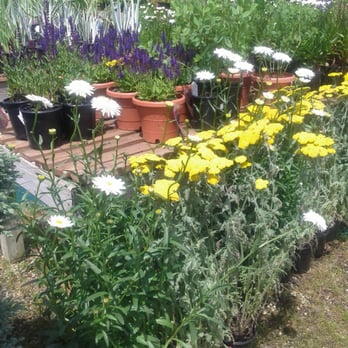 Stratham Circle Nursery - Nurseries & Gardening Near Me - Stratham, New Hampshire