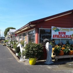 Bob's Market and Greenhouses, Inc.