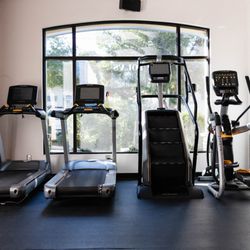 Fox Fitness