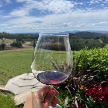Willamette Valley Vineyards - red wine flight - Wineries Near Me - Turner, Oregon Willamette Valley Vineyards - red wine flight - Wineries Near Me - Turner, Oregon