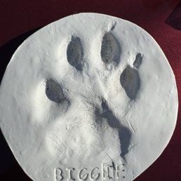 Paw print Paw print