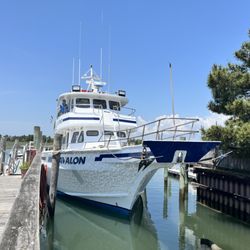 Boats & Hose Mobile Detailing & Marine Services