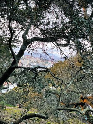 Buena Vista Park by null