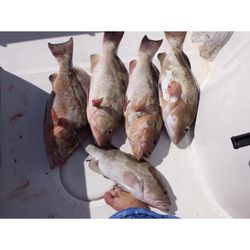 Captain Morgan Charters