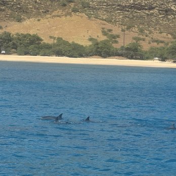 Ocean Joy Cruises - Tours Near Me - Kapolei, Hawaii Ocean Joy Cruises - Tours Near Me - Kapolei, Hawaii