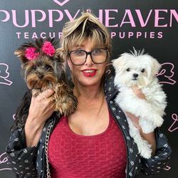 Puppy Heaven - Teacup & Toy Puppies for Sale