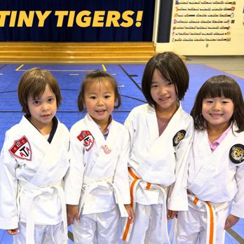 Infinity Martial Arts - More tiny tigers! - Taekwondo Near Me - Great Falls, Virginia Infinity Martial Arts - More tiny tigers! - Taekwondo Near Me - Great Falls, Virginia