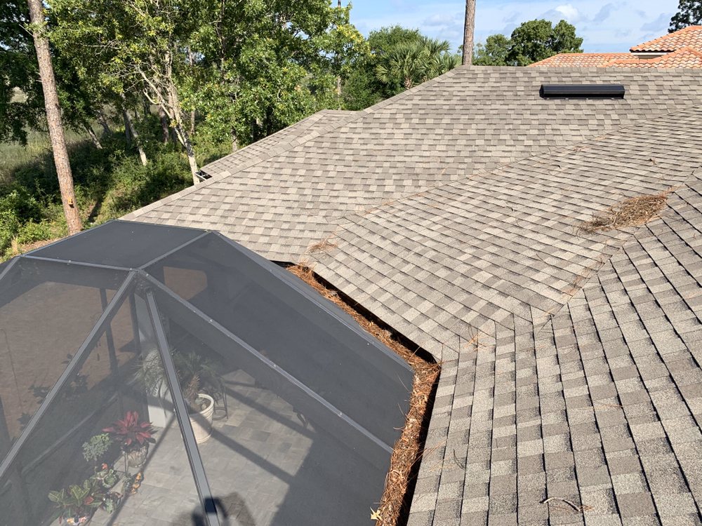 Slide of Sweep My Roof