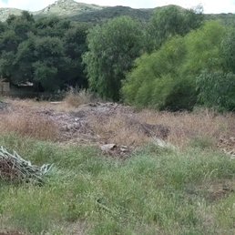 Before (Years of Tree/Yard trimmings) Before (Years of Tree/Yard trimmings)