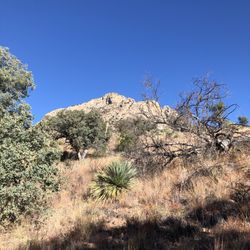 Coronado National Forest - Hilltop