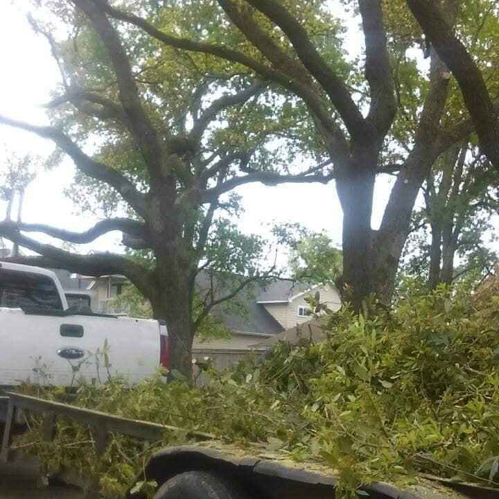 Slide of C & S Tree Service