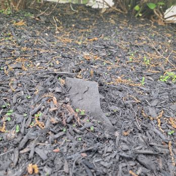 Miller's Landscaping - a pile of mulch with a rock in the middle - Landscaping Near Me - Sewell, New Jersey