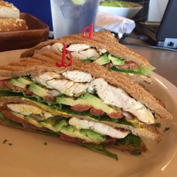 Grilled Chicken Avocado Club