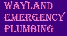 Wayland Emergency Plumbing Logo