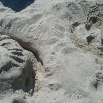Will Rogers State Beach - sand is so clean! - Beaches Near Me - Pacific Palisades, California