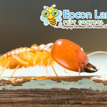 Epcon Lane - Pest Control Near Me - Cleveland, Ohio Epcon Lane - Pest Control Near Me - Cleveland, Ohio
