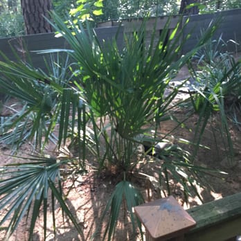 Zoo-Bear Hollow Wildlife Trail - Zoos Near Me - Athens, Georgia