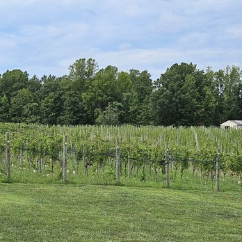 Fifty-Third Winery & Vineyard - View from the deck - Wineries Near Me - Louisa, Virginia Fifty-Third Winery & Vineyard - View from the deck - Wineries Near Me - Louisa, Virginia