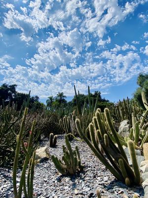 Ganna Walska Lotusland by null