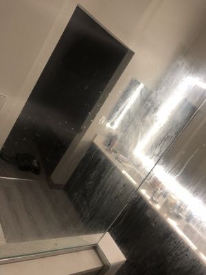 Green Leaf Lotus by null