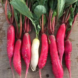 Loam Agronomics