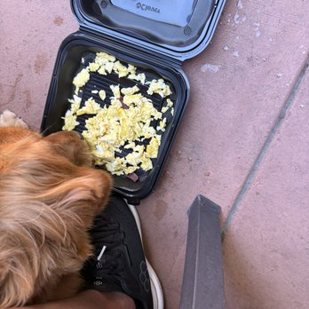 Creekside Garden Cafe - Order my dog some scrambled eggs - Breakfast & Brunch Near Me - Cambria, California Creekside Garden Cafe - Order my dog some scrambled eggs - Breakfast & Brunch Near Me - Cambria, California