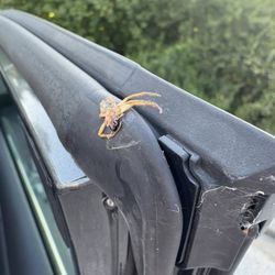 Waterford Harbor Yacht Club & Marina - See the silk webbing from the species that used her door for nesting. This was personal.