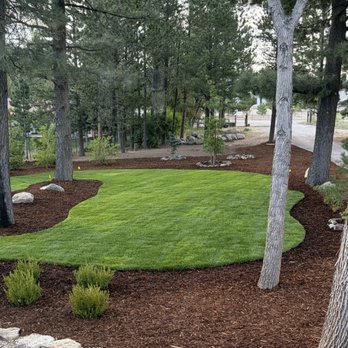 Master's Tree And Lawn Care - Tree Services Near Me - Reno, Nevada Master's Tree And Lawn Care - Tree Services Near Me - Reno, Nevada
