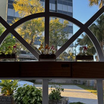The Cellar Restaurant - Italian Near Me - Daytona Beach, Florida