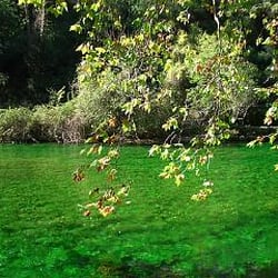 La Source de la Sorgue - La Sorgue