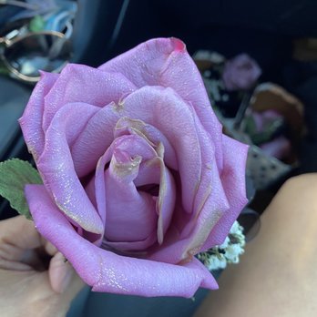 Butterflies Flower Shop - Florists Near Me - Pomona, California Butterflies Flower Shop - Florists Near Me - Pomona, California