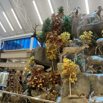 Scheels - Display inside - Golf Equipment Near Me - Chandler, Arizona