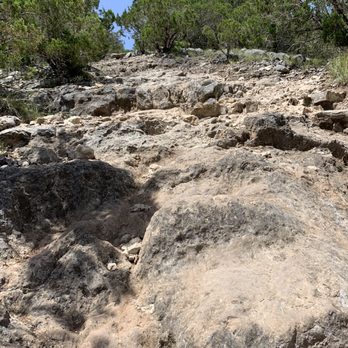 Lost Maples State Park - Steep part of the trail- photo doesn't do justice to it. This is on the East Trail above Primitive Campsite A on the map. - Parks Near Me - Vanderpool, Texas Lost Maples State Park - Steep part of the trail- photo doesn't do justice to it. This is on the East Trail above Primitive Campsite A on the map. - Parks Near Me - Vanderpool, Texas