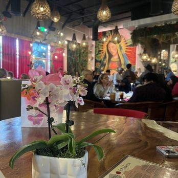 Rosa Madera - How cute the place is - Mexican Near Me - Sacramento, California Rosa Madera - How cute the place is - Mexican Near Me - Sacramento, California