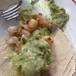 El Taco Maya - Grilled shrimp taco