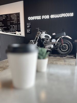 Midnight Animal Coffee by null