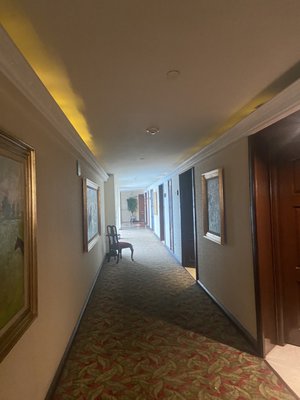 The Green Park Hotel by null